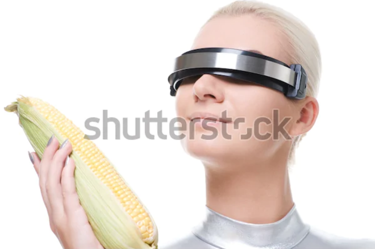 when all else fails just reply to conspiracy theorists with stock photos of cyber women and corn. the less sense it makes the better