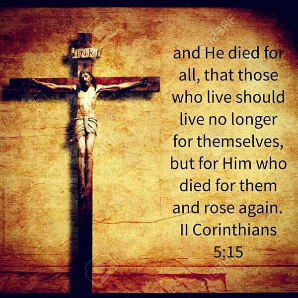 gregazar's tweet image. 