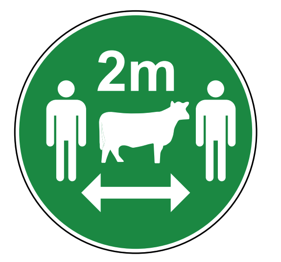4HOntario's tweet photo. Is your area in Phase 3 of Ontario's reopening framework? Find out all you need to know about 4-H's return to in-person activities here: https://t.co/xTXUI3aVA1 #COVID19 #SocialDistancing #4HActivities #4HClubs #4HProject #4His4me https://t.co/e857twDXQn
