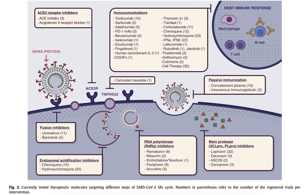 En janvier 2020, premières étapes de  #DisCoVeRy, aucun antiviral efficace contre le virus SARS-CoV-2 n'était disponible pour traiter la Covid-19. Cette situation a peu évolué puisqu’aucun traitement antiviral diminuant la mortalité des patients n’est encore disponible à ce jour