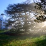 Photo by Hampton NHS (@HamptonNPS)