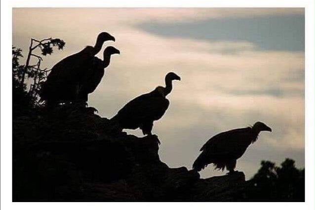 CeeKingg_'s tweet photo. Los quintos esperando a que pase un sétimo para pedirle una teja https://t.co/GsEDYHBi7T