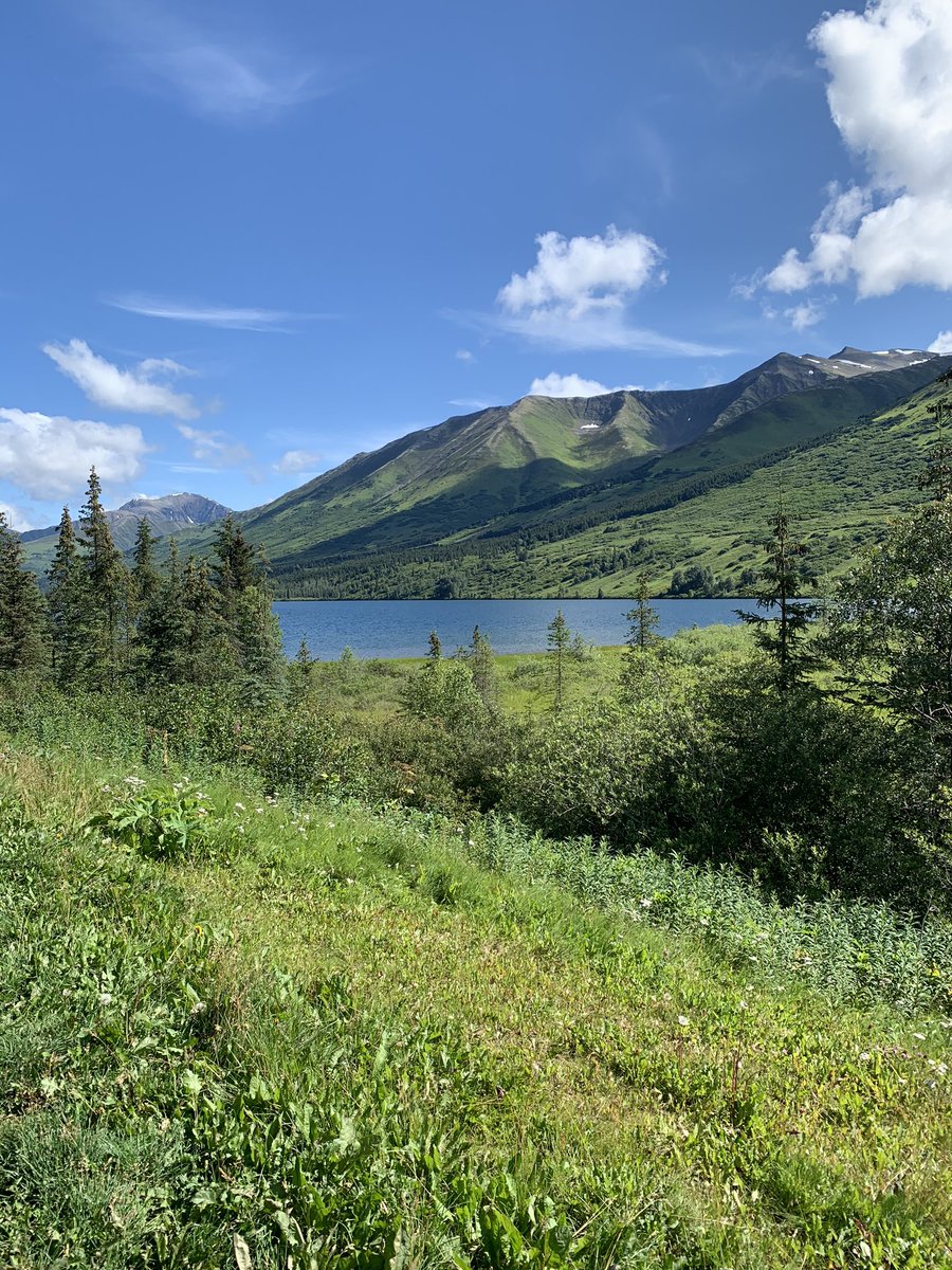 I’m trying to relax, but I feel like a first year teacher again. Just breathe.