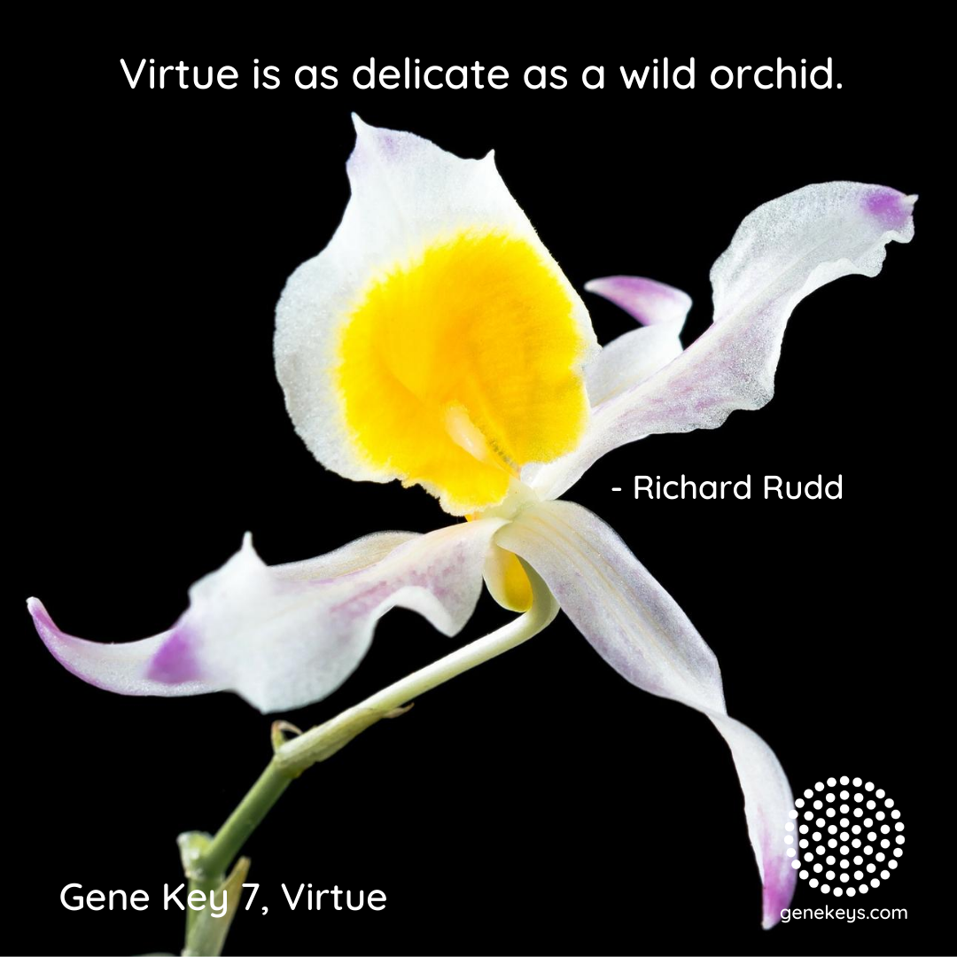 gene_keys's tweet photo. The Pulse – 5 August to 10 August – The 7th Gene Key moves from the Shadow of Division to the Siddhi of Virtue and it's the Way of Guidance

For more information about the Gene Keys please visit or subscribe to The Pulse at https://t.co/Dviu0apuuY

#genekeys #64Ways #genekey7 https://t.co/qIM0XQEvXj