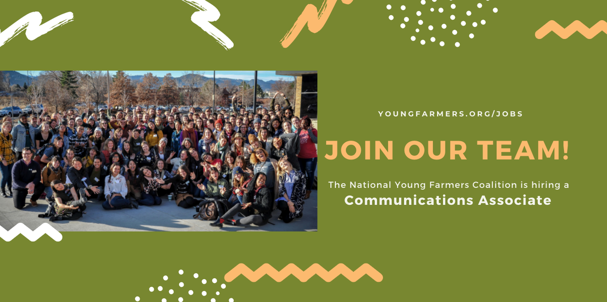 YoungFarmers's tweet photo. Join our team!
#YoungFarmers is hiring a #CommunicationsAssociate to support our social media strategy and outreach efforts.
Help us tell the stories of young farmers, #farmersofcolor and #farmworkers and create a brighter future for U.S. agriculture.
https://t.co/sTX8gutQ3g https://t.co/fbpYDnlsFQ