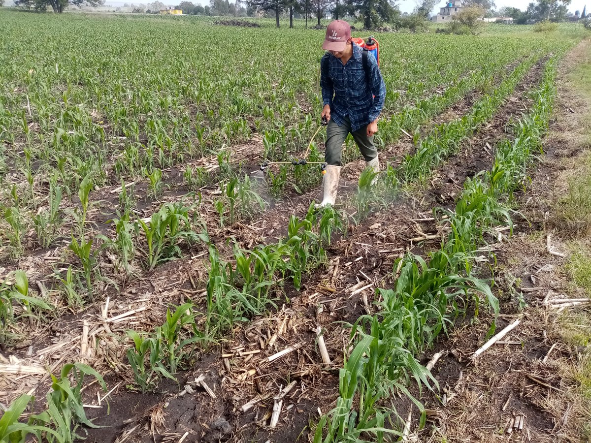 José Alfredo Estrada Alcala (JosAlfredoEstr7) Twitter