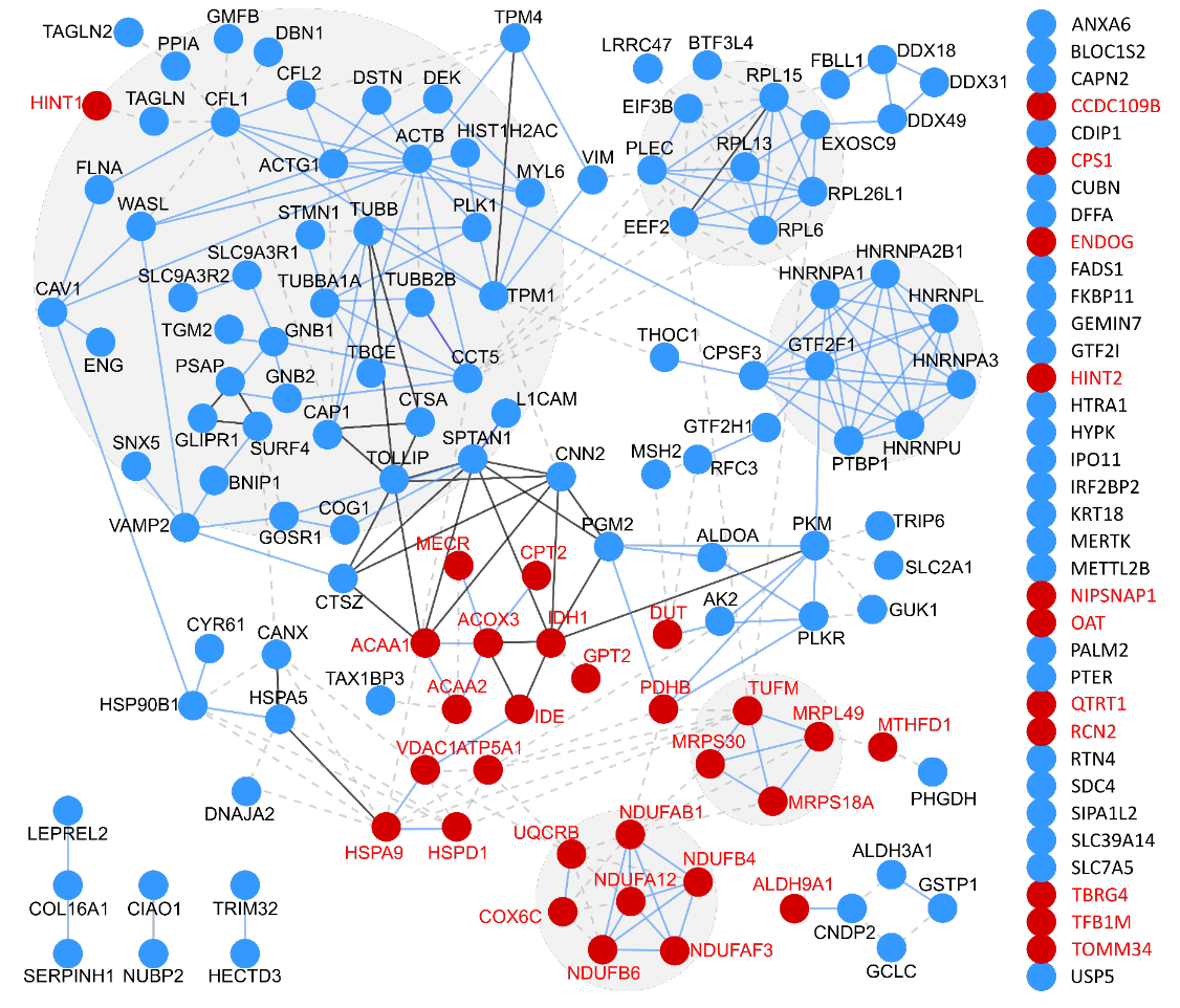 We found MANY differences across the entire human cell, including several changes in mitochondrial proteins (shown in red). Some were specifically mediated by the presence vs. absence of the T3SS (green). Some had not previously been observed (*).11/ https://msystems.asm.org/content/5/3/e00283-20