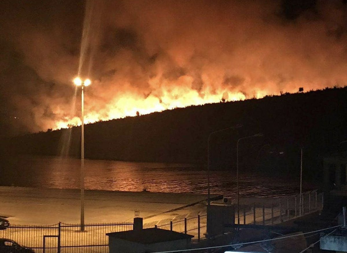 multiple forest fires have been reported all over the country and the fires are approaching housing which makes the situation even more disturbing. up to date, the fires have destroyed a total of 598 hectares of forest, including 2,419 olive trees and 217 fruit trees.