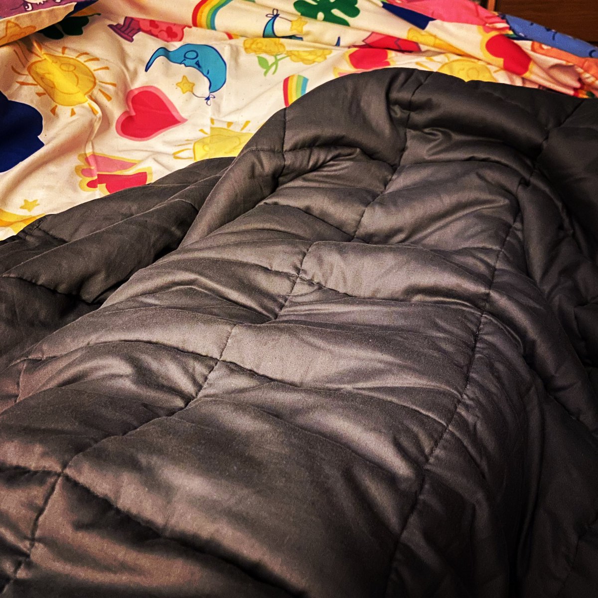 loonietart's tweet photo. So far so good for my weighted blanket! I’ve had 3 nights of unbroken sleep in a row for the first time in over 3 1/2 years #WeightedBlanket #LivingWithAnxiety #LoveSleeping https://t.co/ROIt2B1Qcf