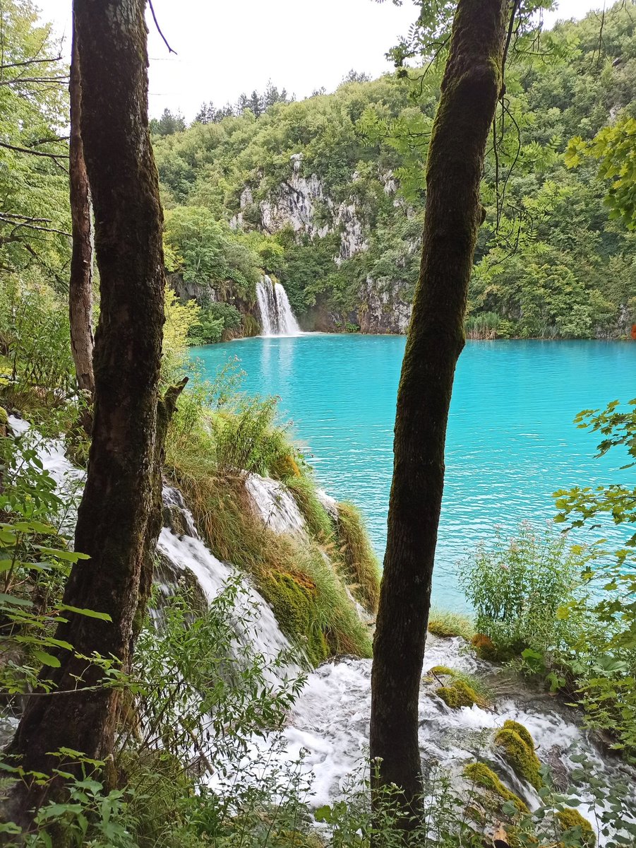 roughtycoon's tweet photo. #plitvicka #jezera #nationalpark #plitvice #lakes #croatia #hrvatska #vacation #2020 https://t.co/PwkOveyasv