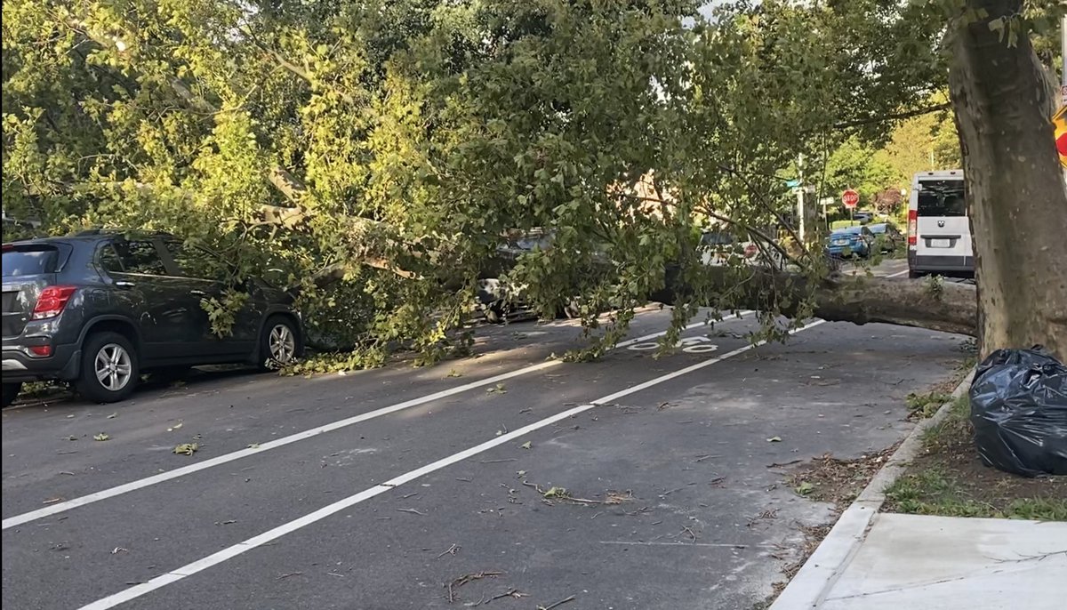 #FallenTrees in #Queens  🥵 #Tornado