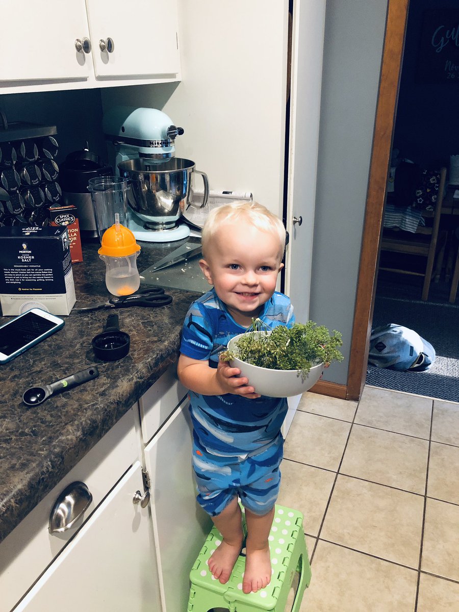 EthanGullicks's tweet photo. Took a few years off, but weβre back. Weβve got a new helper! @jonith11 #sullyman #garden2020 π₯π₯ https://t.co/i3KwgHCKAi