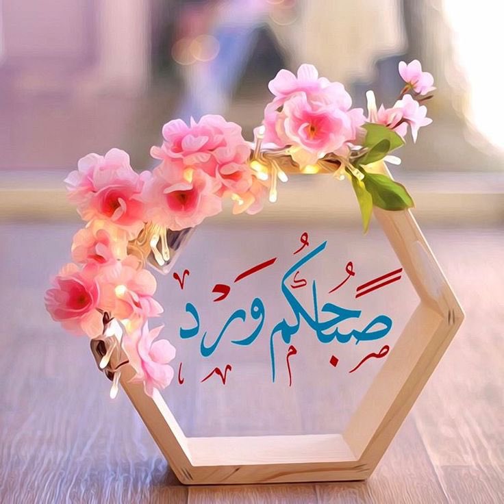 almoog5152's tweet photo. #مهرجان_العنب_والفواكه_الموسميه_بالماوين https://t.co/cBj1x2eyNC
