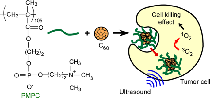 ChemistryNews's tweet photo. Singlet oxygen generation by sonication using a water-soluble fullerene (C60) complex: a potential application for sonodynamic therapy https://t.co/iJ7P6ZXv92 https://t.co/HBdtG6XHLR