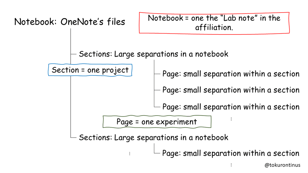 tokurontinus's tweet photo. I wrote about how to write an experiment note using OneNote. It's not a perfect method, so please let me know if you have a better way! #OneNote #Labnote https://t.co/SYV86wzp8D