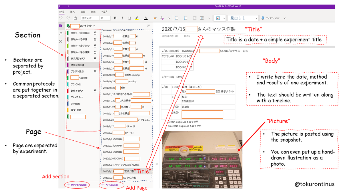 tokurontinus's tweet photo. I wrote about how to write an experiment note using OneNote. It's not a perfect method, so please let me know if you have a better way! #OneNote #Labnote https://t.co/SYV86wzp8D