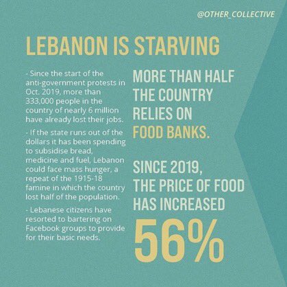 lebanon is going through a lot of crisis and it’s your job to educate yourself on what is going on