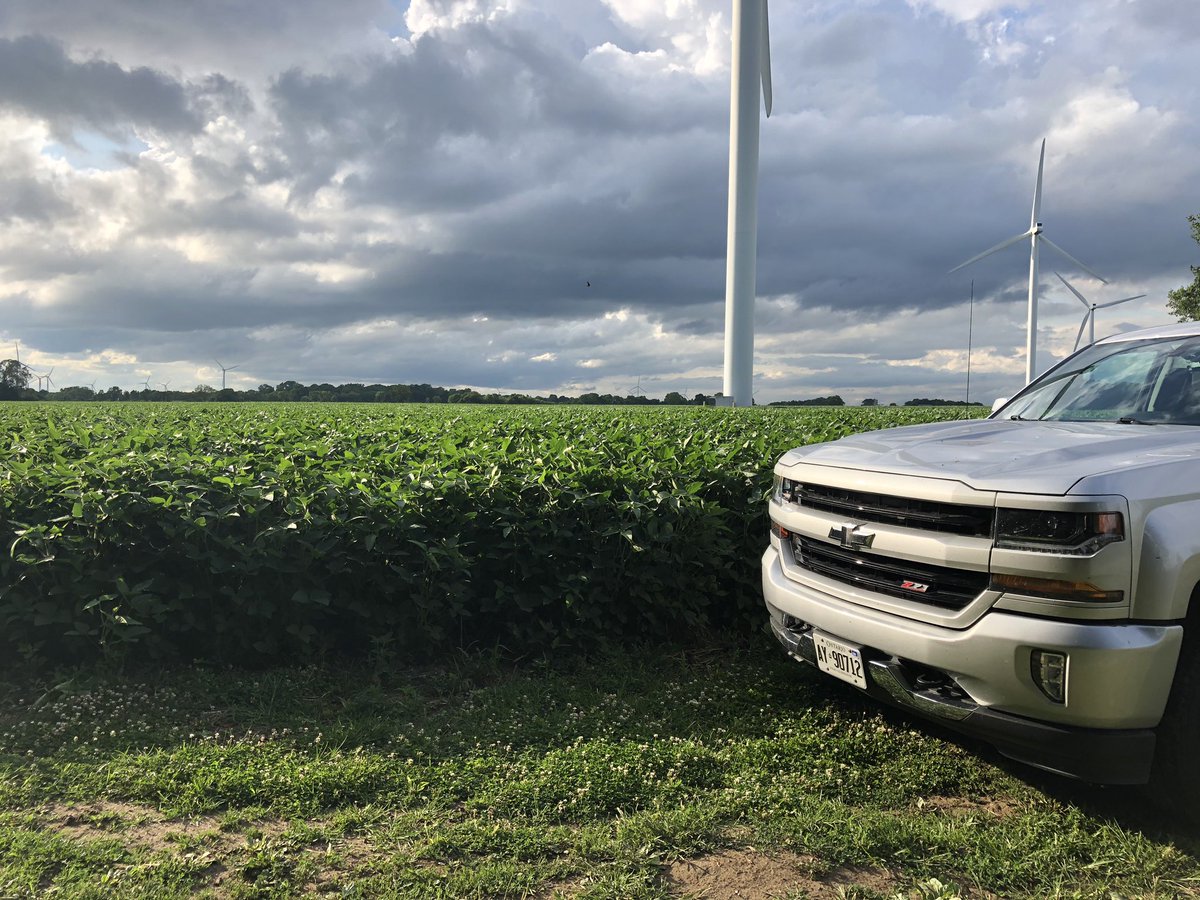 Scott McLean tweet media