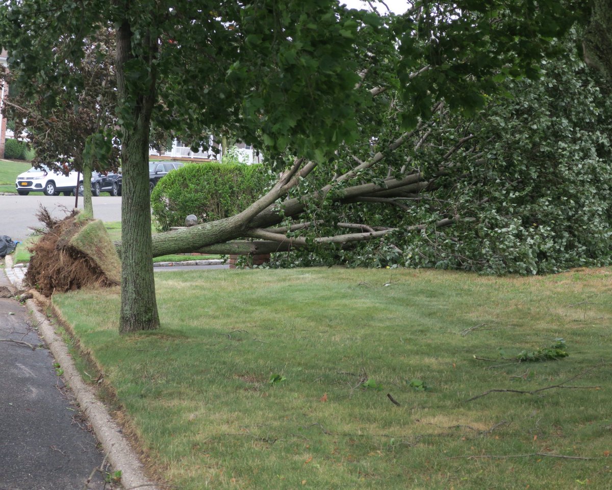 warpdrve's tweet photo. #stormdamage #isaias #commack #longisland https://t.co/1aK0sKs3gM