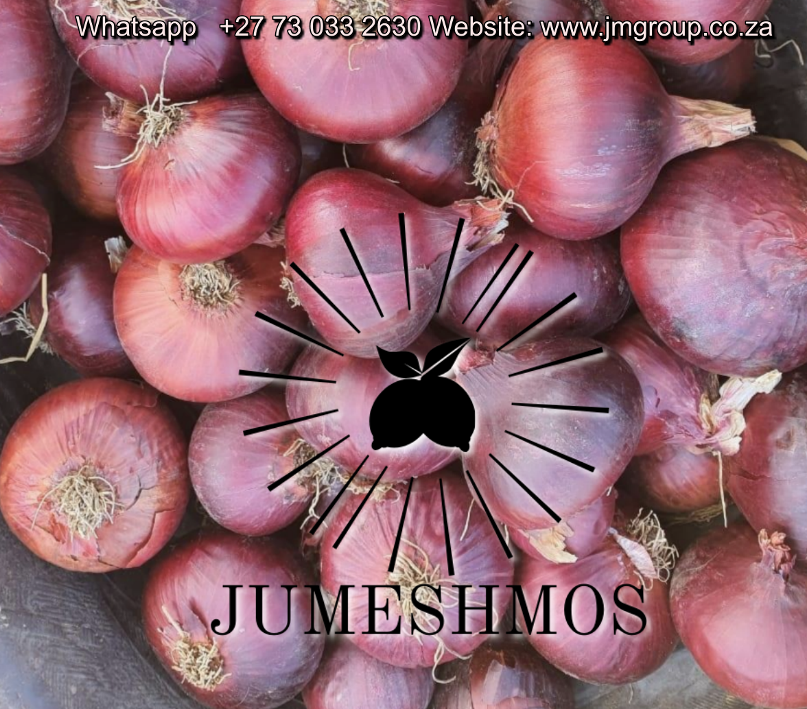 JumeshmosGroup's tweet photo. Now season for #red_onions #onionsexport #onionmarket 
Packing : 10-25 kilo per bag
Class 1.

If you serious to buy from us waiting your contact :
Contact/whatsApp: +27 73 033 2630  
Website: https://t.co/QsAy5fZcOa https://t.co/fEqYPJlVjC