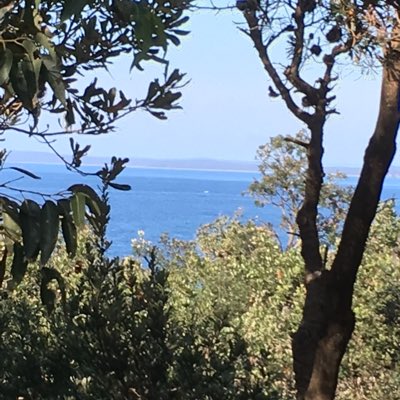 CathyRo73628958's tweet photo. #NewProfilePic https://t.co/npfAQXBT8Q