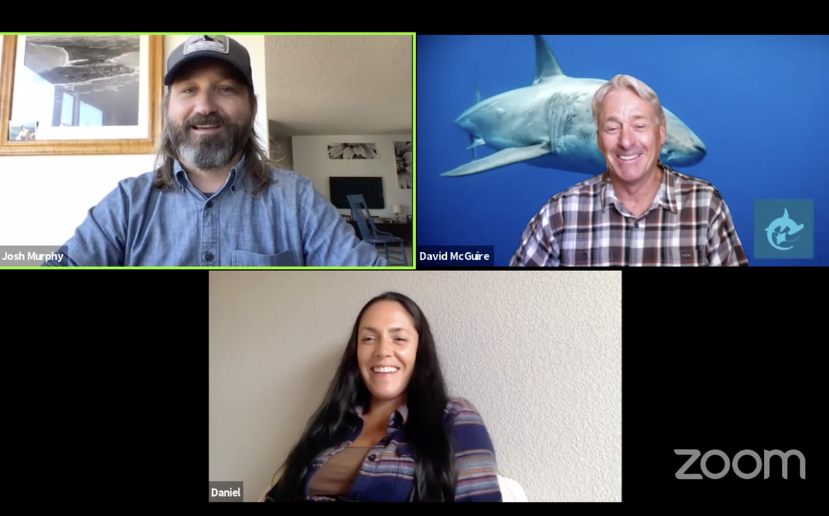 oceanfilmfest's tweet photo. We are LIVE! Join @SHARKSTEWARDS David McGuire, filmmaker Josh "Bones" Murphy of #artifishal, and Amy Cordalis of the Yurok Tribe. Join here:
https://t.co/4Q3BCI5ahz https://t.co/M2r3IWMiK4