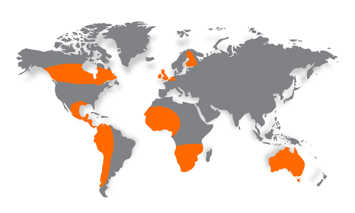 KalTire's tweet photo. #DYK Kal Tire's Mining Tire Group provides mining tire supply and management to more than 150 mines across five continents?!
#MTG #mining #miningtires https://t.co/IEj7LVy21p https://t.co/BEcXx3LdGN
