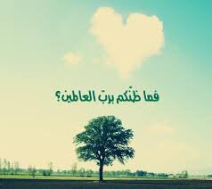 ابنة سرق الموت والديها 💔 tweet media