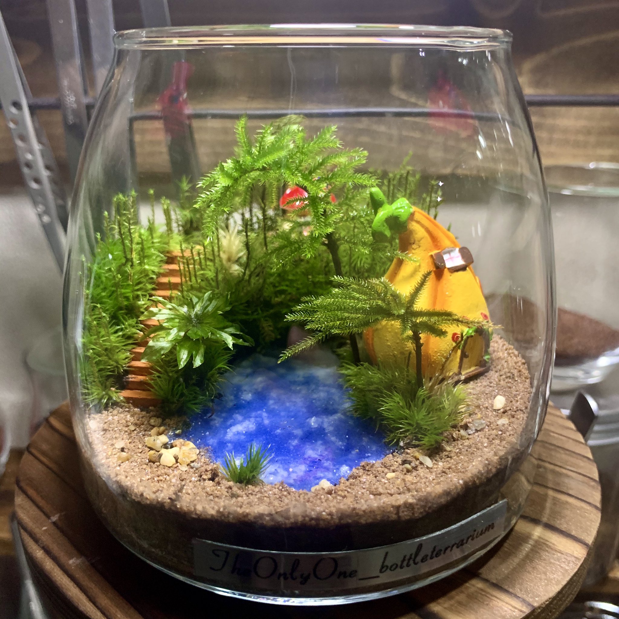 Theonlyone Bottleterrarium Twitterissa オーダーいただいてから3ヶ月経過した苔テラリウム 準備ができたそうなので発送前にメンテナンスしました 不定期ですがインスタライブで苔テラリウムの作り方も説明しているので 興味がある方はフォローして見にきていただけ