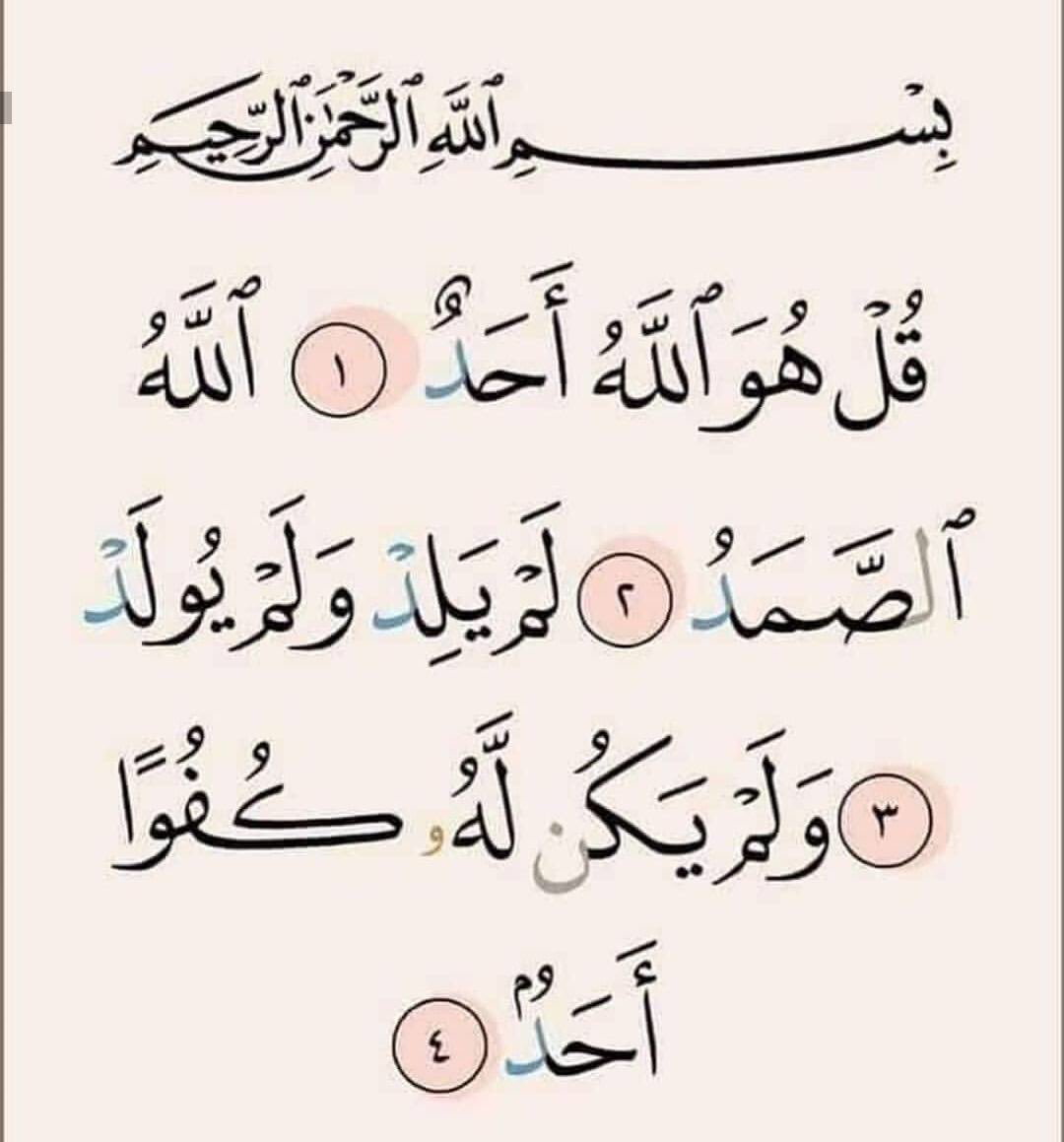kj_nim's tweet photo. #نادين_نسيب_نجيم                                               كُن صديقًا لِمُصحفِك
فإنه ينطق حينَ تُبعثون. https://t.co/WMSwldynRA
