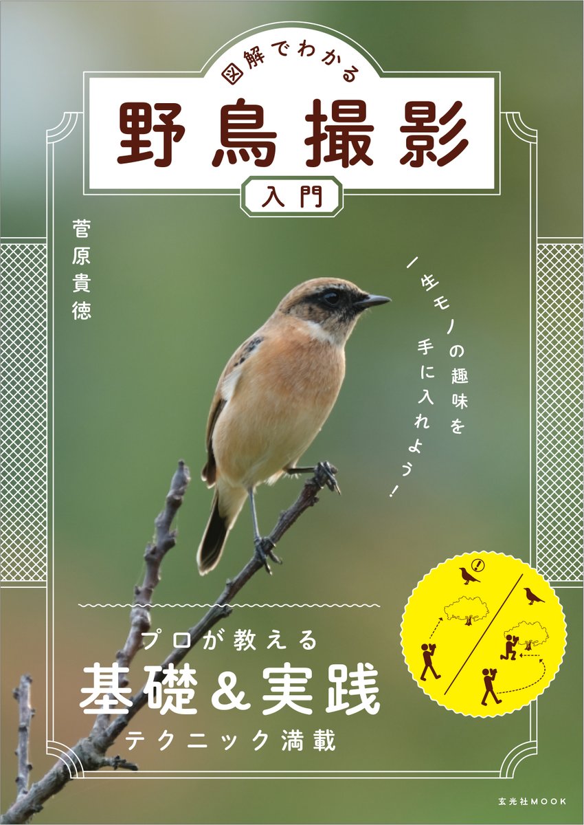 菅原貴徳 図解でわかる野鳥撮影入門 新刊発売中 Pechi Field Twitter