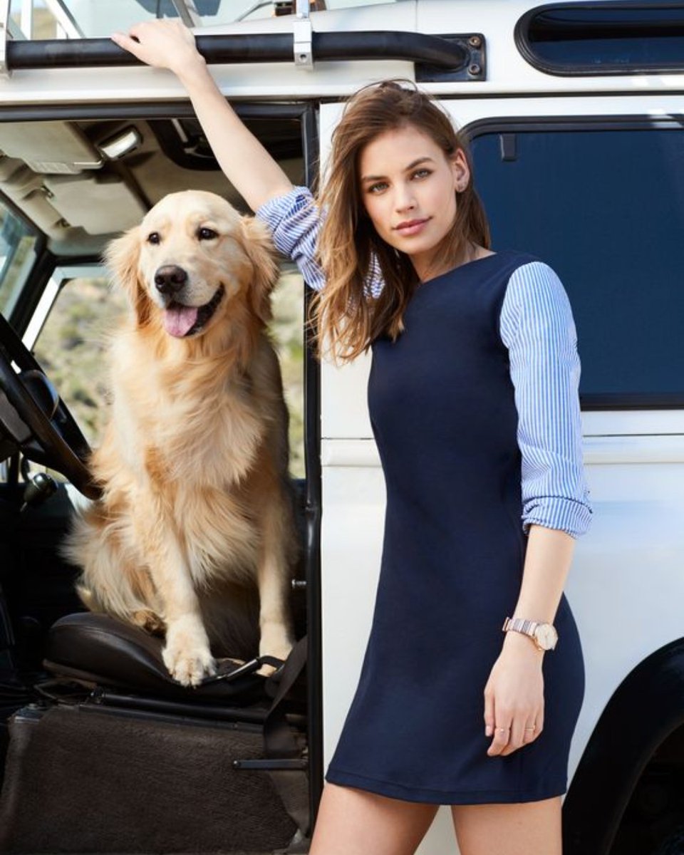 A wise woman once said "I'm getting a Golden Retriever", and she lived happily ever after. 🐶What's your favorite dog breed? 

#Preppy #Dogs #GoldenRetrievers