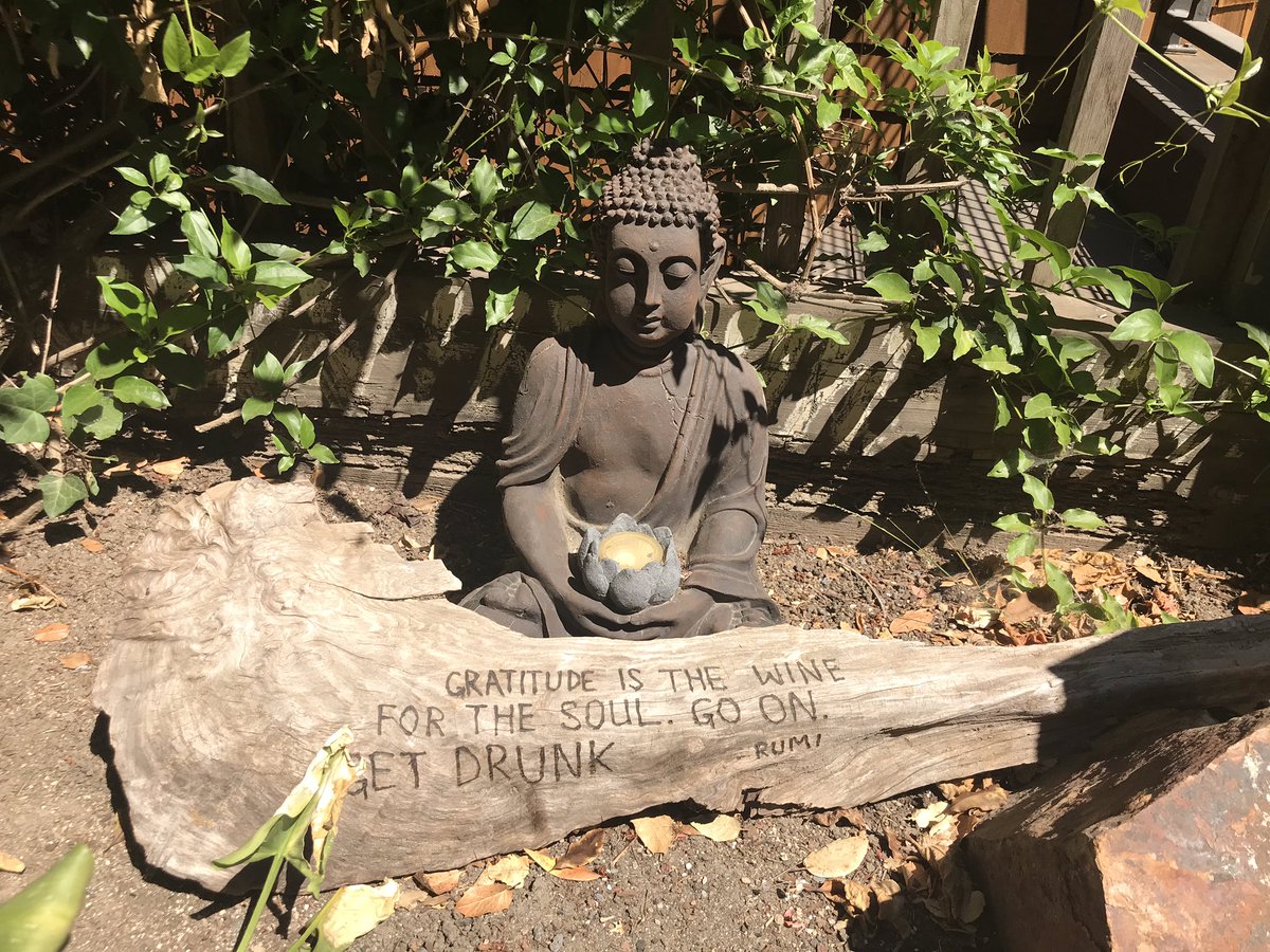 WhyIsMud's tweet image. Saw this for the first time on my daily walk. Thank you, little roadside Buddha!