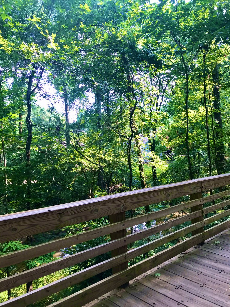 _jumokeee's tweet photo. First walk of August ✨

getting out of my head and into some nature has been a great mood booster. https://t.co/LFrntZREH3