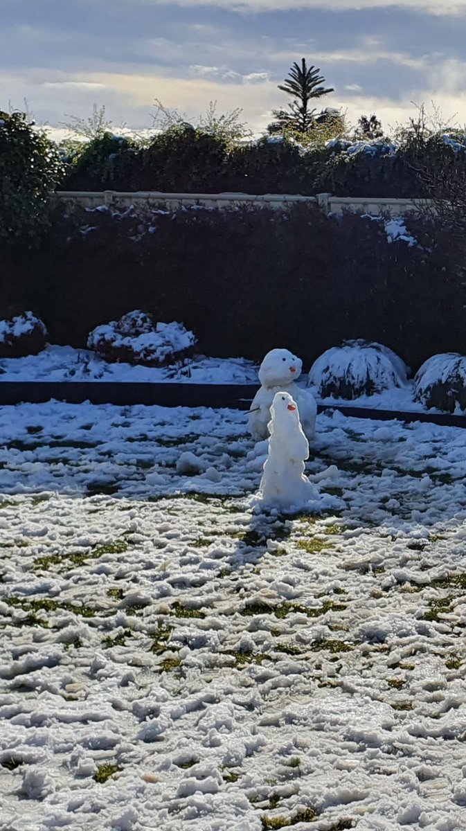 2020 couldn't get any stranger and there are 2 #snowmen in my yard. #snowinLaunceston #Launceston #hardtobelieve ❄☃️