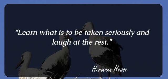 Learn what is to be taken seriously and laugh at the rest                 -Hermann Hesse