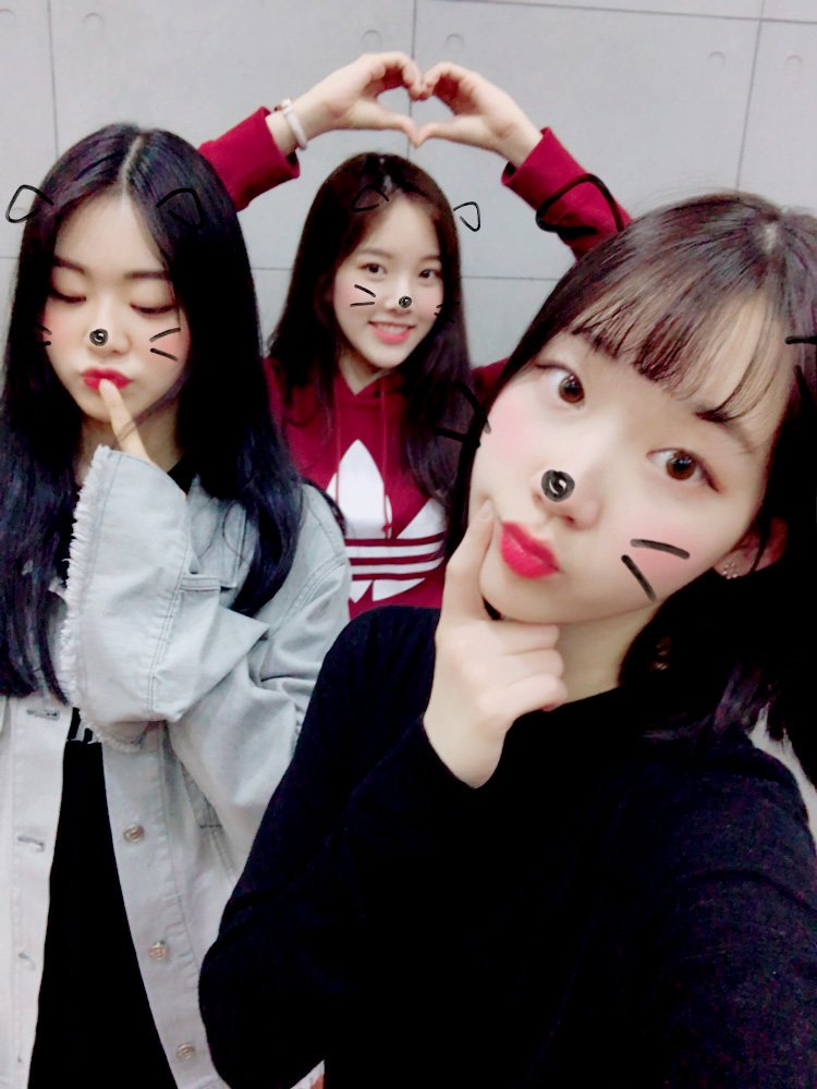 A thread of Weeekly pre-debut photos;LOEN Girls ★ FAVE Girls ★ PLAYM GirlsNote: None of the pictures were edited/cropped so this thread may contain former trainees and former mixnine contestants  #Weeekly  #위클리  @_Weeekly