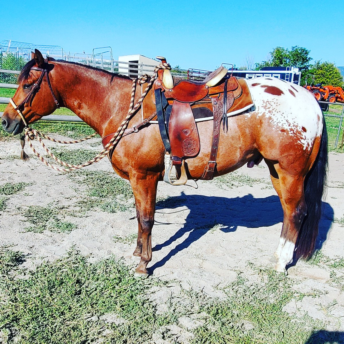 CarolJo55145651's tweet photo. My favorite guy ❤️
#whatsthesecret #spottedathome https://t.co/5rgs6hEsv5