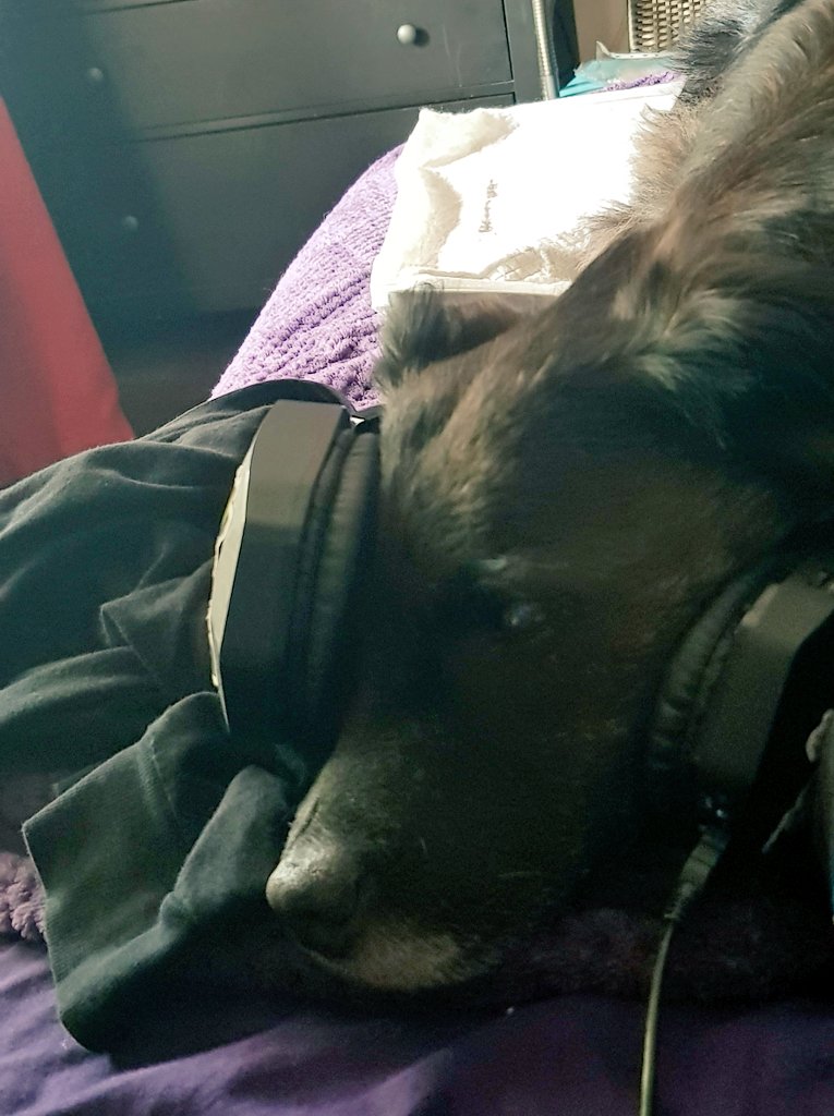fuckywucktopus's tweet photo. We didnt do anything today tbh, I was too sick to move so we played jazz all day and napped, sometimes ya just gotta 🤷🏾♂️✌🏾 #jazz #oldpupper https://t.co/EZupNjiY8T