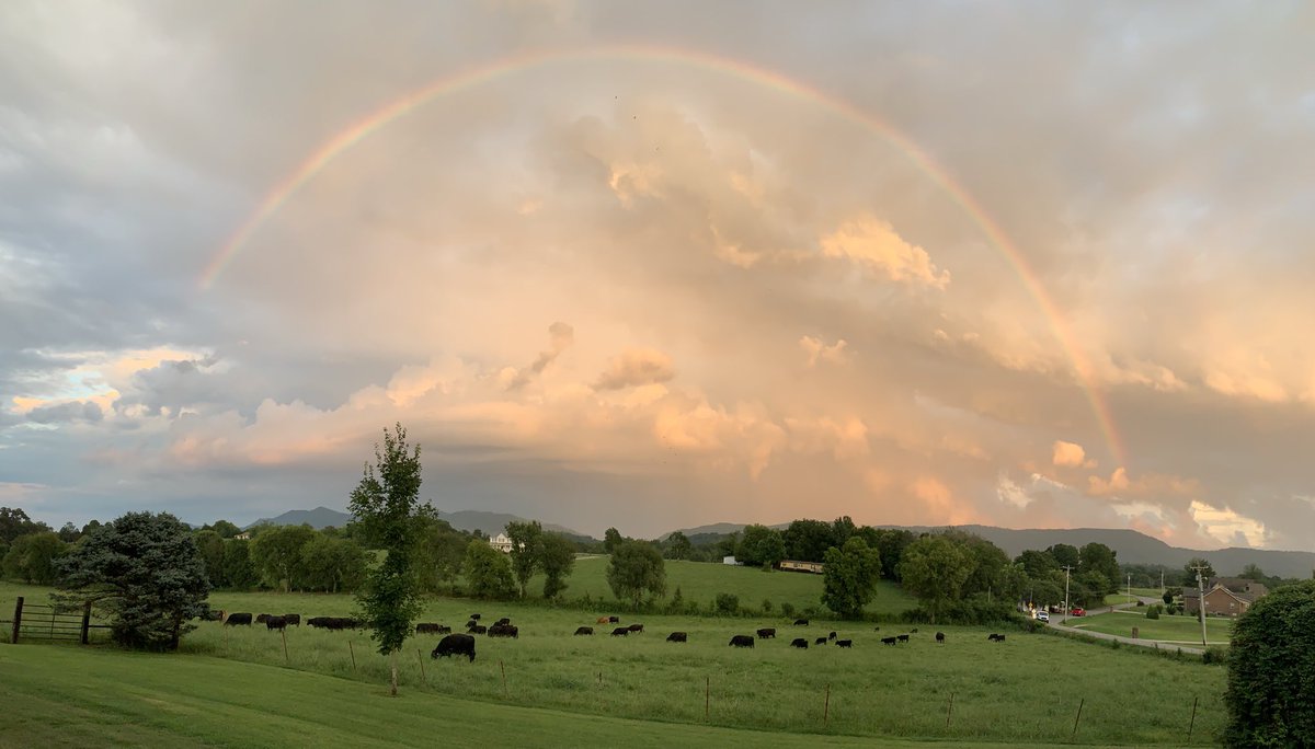 ecwaters67's tweet photo. Unbelievable rainbow over the Foothills! https://t.co/jV8X8XAVfq