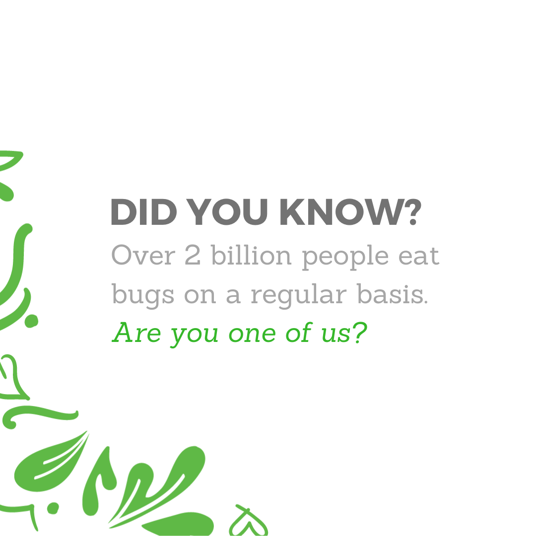 MightyCricketCo's tweet photo. Over 25% of the world eats bugs! Our products are for beginner bug eaters. You won't find antennas or wings. Try one bite of our Dark Chocolate #Oatmeal and you'll quickly forget all about the bug as you savor (devour?) the most decadent oatmeal you've ever tried. #bugfood https://t.co/ozATxPlFZo