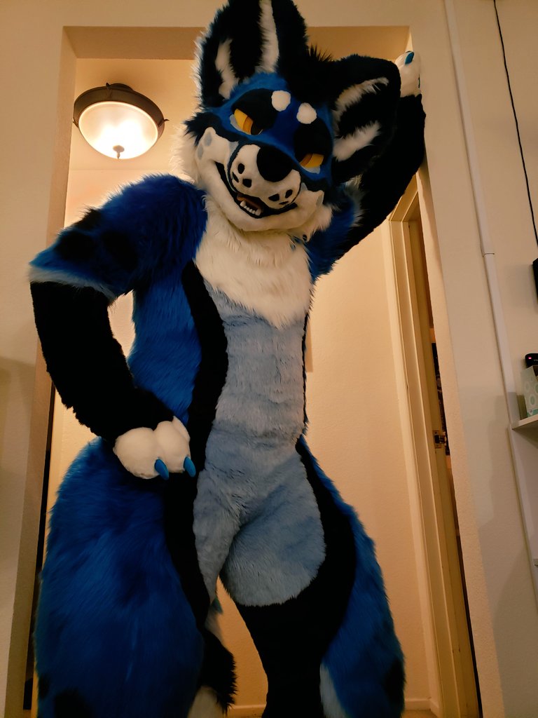 Keno_Fox's tweet photo. Heya... where do you think you're scrolling? https://t.co/WESLbTogVd