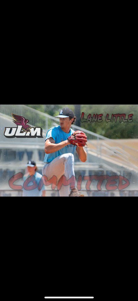 Lane Little tweet media