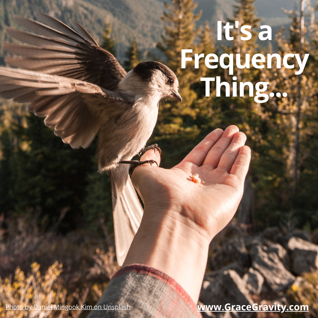 gracegravity's tweet photo. There is a change of the guard that is happening. It has been happening for a while. Positive energies now take hold. A change for the better. One of love and compassion. Wakey wakey! https://t.co/vkCGKNkxn9 https://t.co/nqvKtZqabD
#newmusic #wakeup #outsidethematrix #scifi #up https://t.co/YeRlB8XTyZ