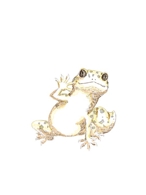 ヒョウモントカゲモドキのtwitterイラスト検索結果 古い順 ヒョウモントカゲモドキのtwitterイラスト検索結果 古い順