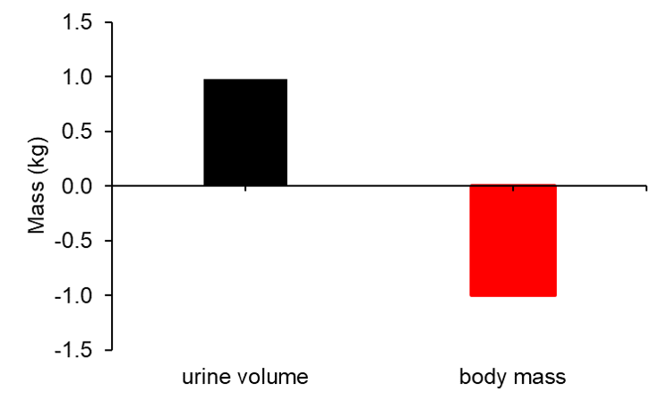 12 hours in data...bar chart: total urine volume (black) vs total body mass loss (red)line graph: time trend of urine losses vs body mass change (skewed axis for time)
