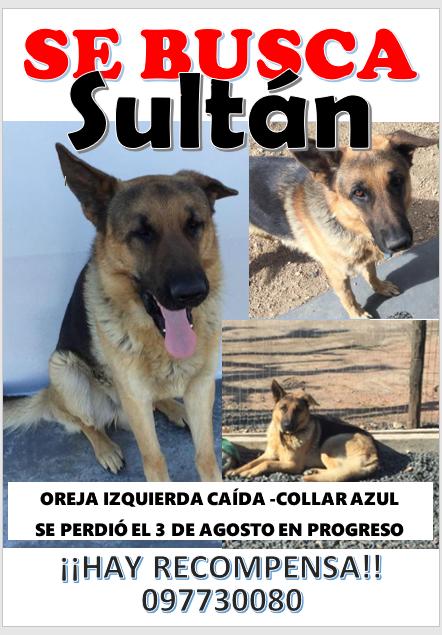 Es de Progreso. Si lo ves avisá , por favor !!!