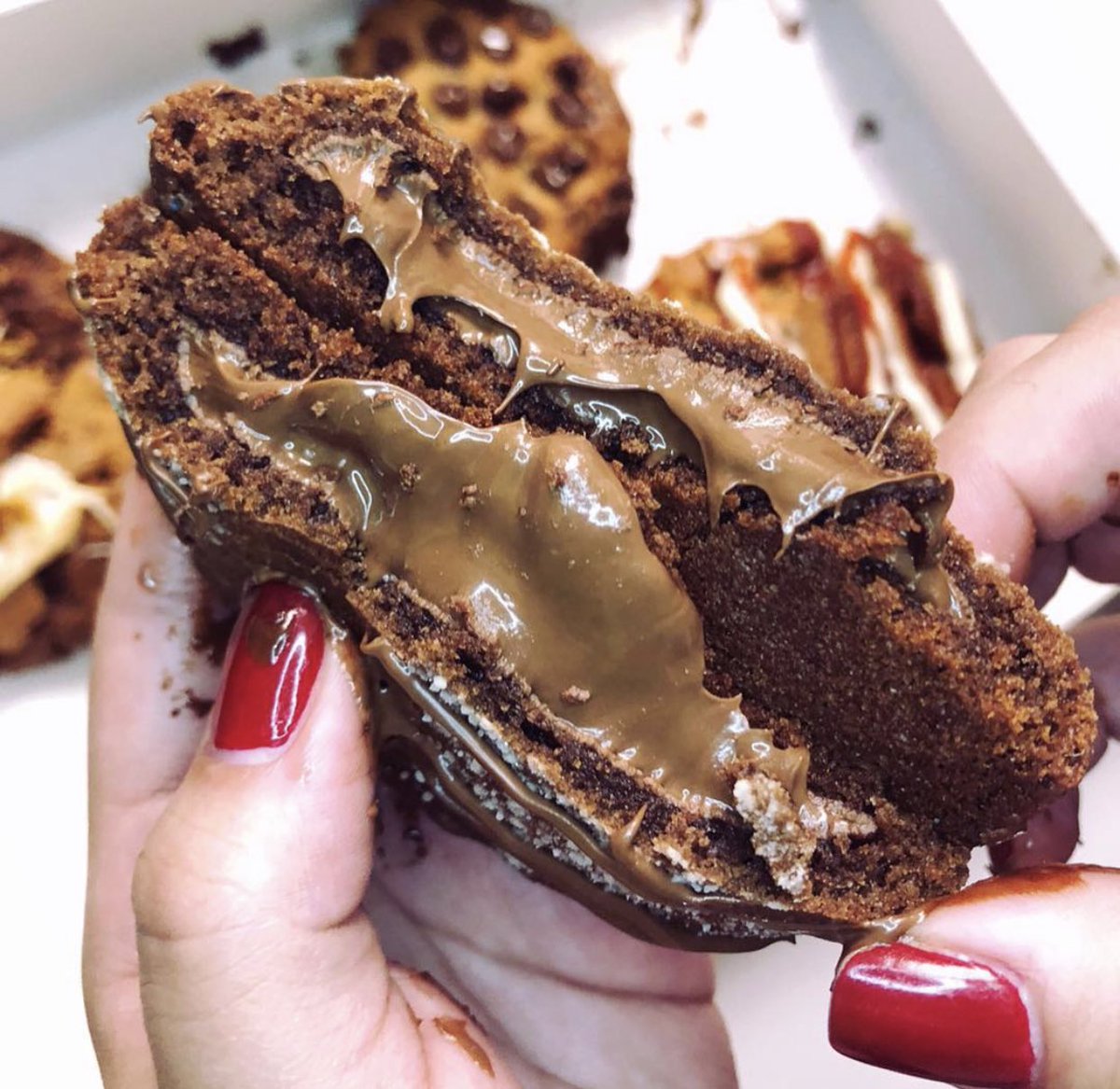 Happy national chocolate chip cookie day 🍪🍪