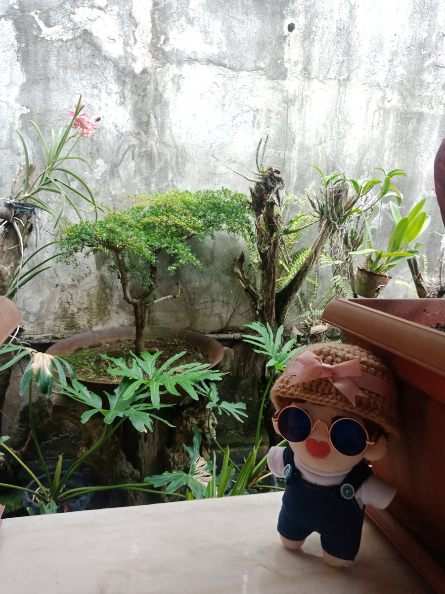 kyungsooisIifeu's tweet photo. Here's Sookyung saying good morning to all of you and reminding you to stay at home!! 

"Go take care of your house plants!" https://t.co/vZrzkA1qqs