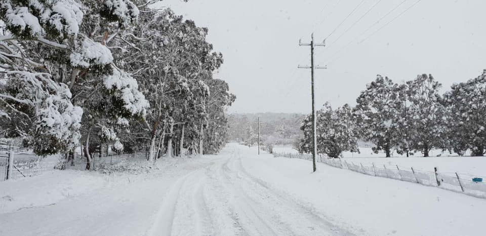 SNOWSEARCH australia tweet media